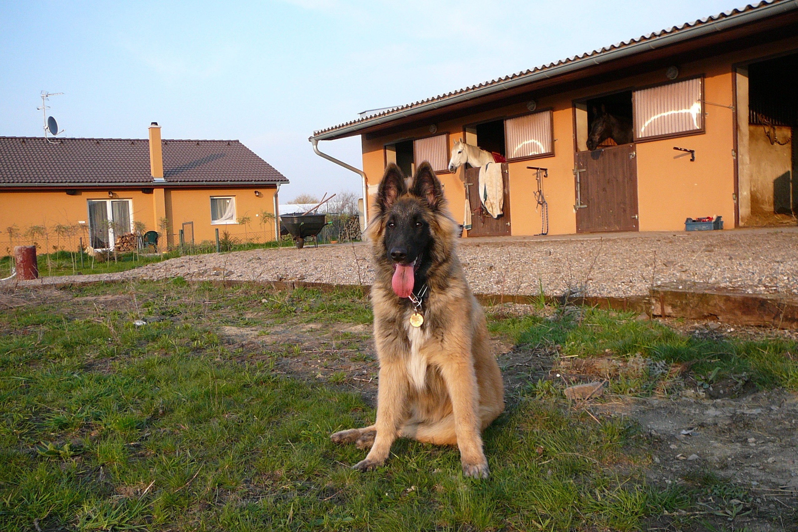 P1030299.JPG
